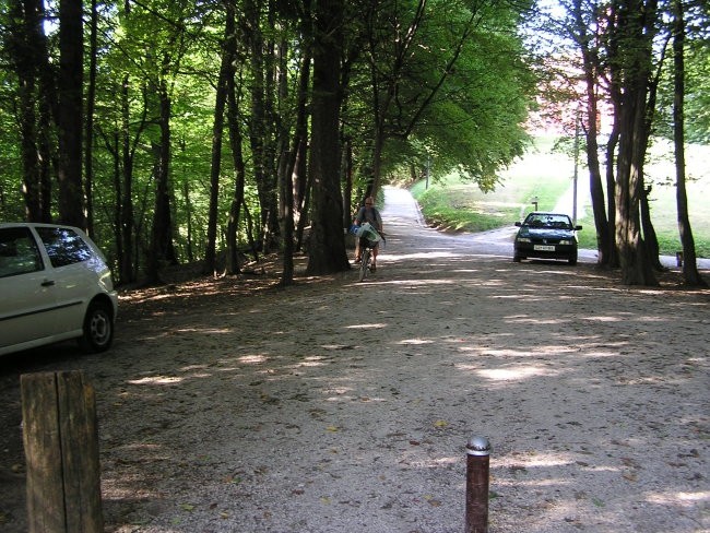 2007.06.21.vsrs.roznik - foto povečava