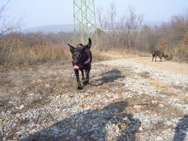 Divača-Kozina potepanje -marec 2008 - foto