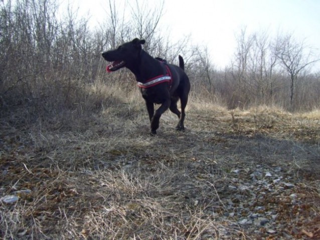 Divača-Kozina potepanje -marec 2008 - foto