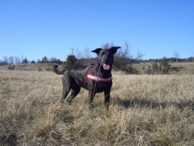 Divača-Kozina potepanje -marec 2008 - foto