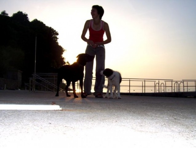 Tara in Lay-morje 2008 - foto