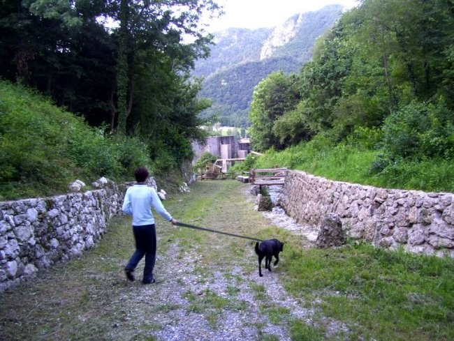 Carnia(Italia)-julij 2008 - foto povečava