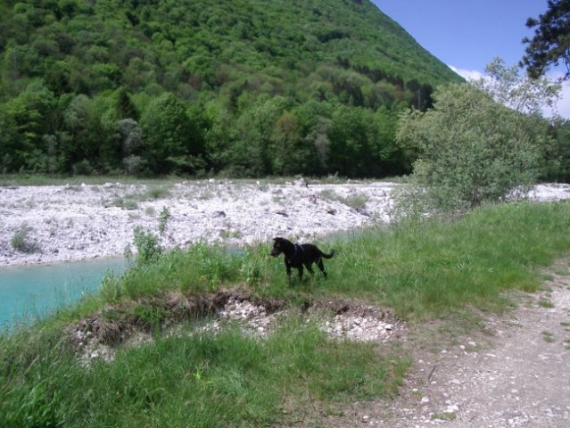 Tolmin-maj2005 - foto