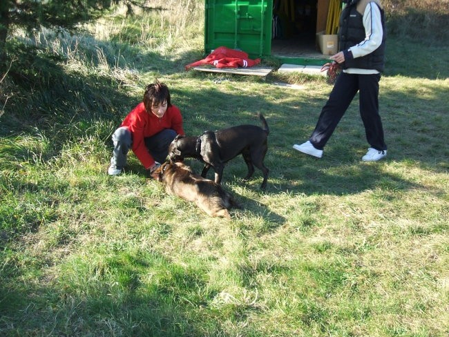 Tara-Lucy december2006 - foto povečava