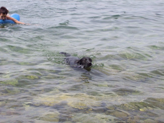 Na plaži - foto povečava