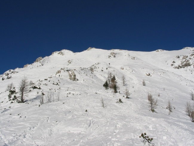 visevnik 2jan