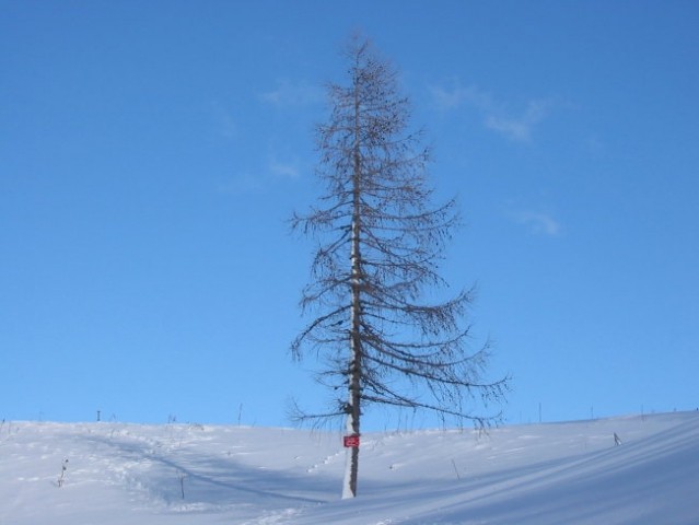 Jenkova planina 18 dec