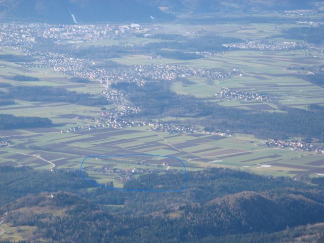 Olševek z zvoha, 26.dec