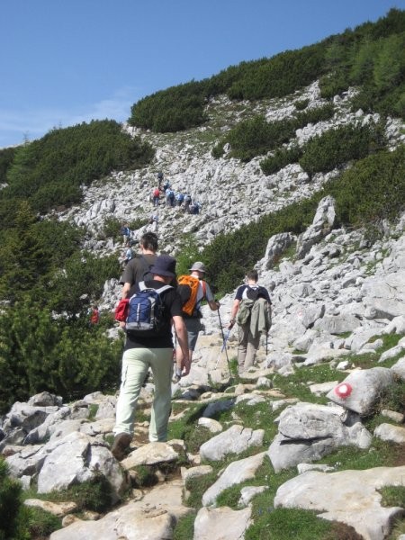 ... potem se nas je pa nabralo že več mf-ovcev