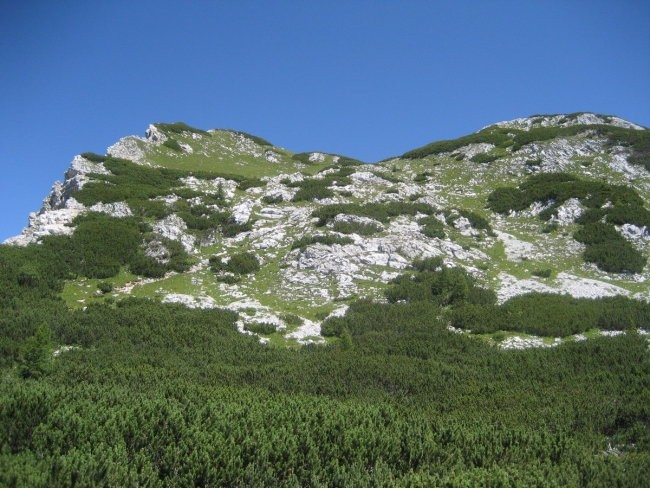 Med potjo proti planini Ovčarija, še pogled nazaj proti bolj krotkemu delu same Tičarice.