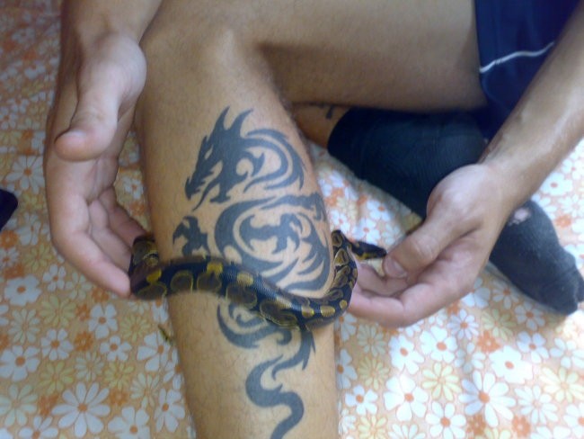 Tattoo - foto povečava