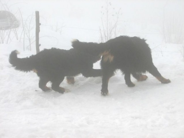 Januar 2006 - foto