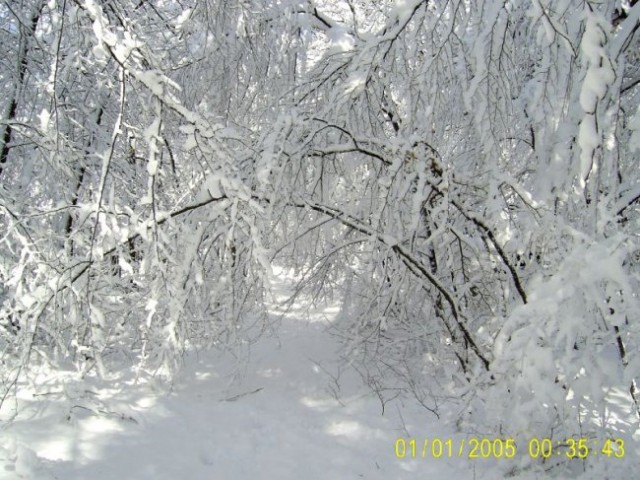 Marec 2006 - foto