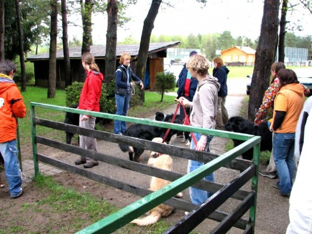 3. PeSjanarsko srečanje (29. april 2006 - Var - foto