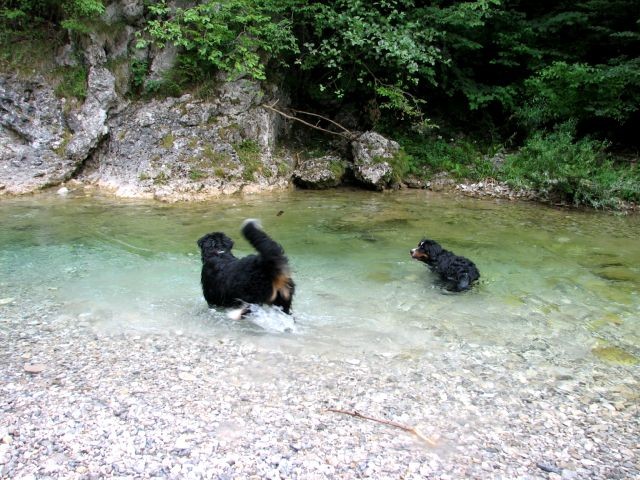 Astor&Atos v Iškem Vintgarju(7.7.06)/ Pri - foto povečava