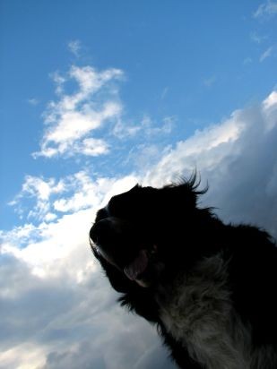November/December 2006 - foto