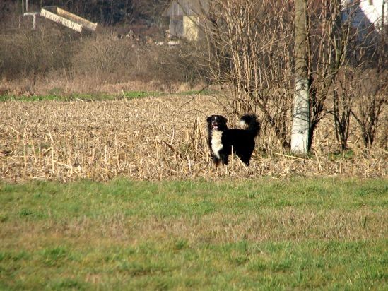 Januar 2007 - foto