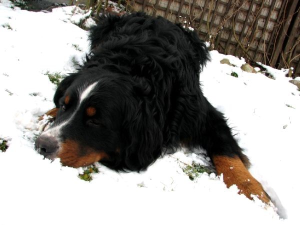 Januar 2007 - foto