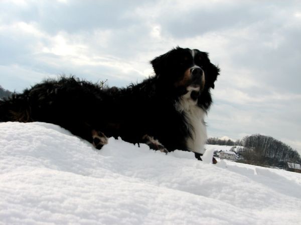 Marec 2007 - foto