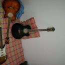 Moje kitare