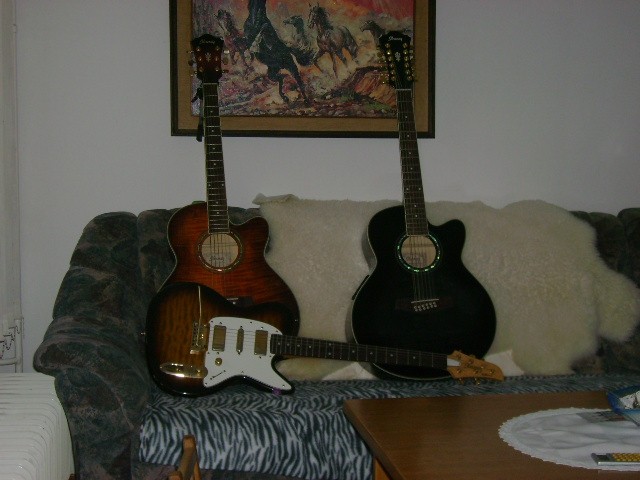 Moje kitare - foto