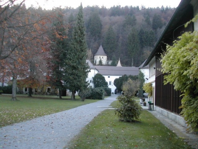 Iz Solin do Šk.Loka-Žiri,čez Medvedje brdo v  - foto