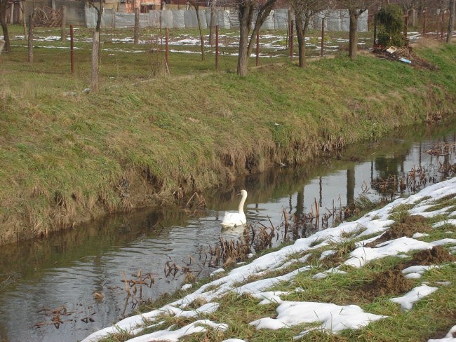 MOJ ALBUMKO - foto povečava