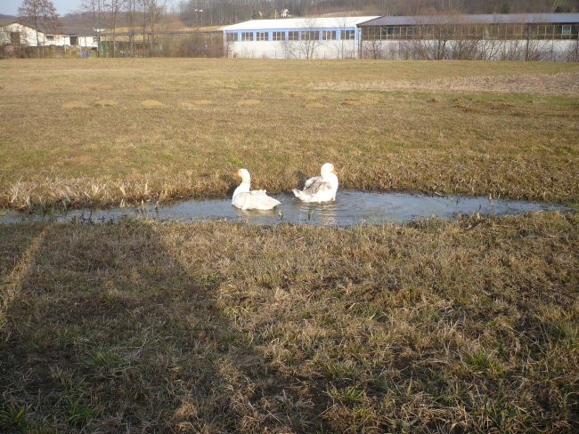 MOJ ALBUMKO - foto povečava