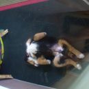 Alien sleeping