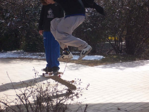 Skate - foto