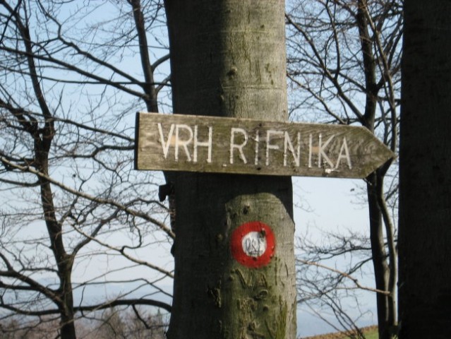 Ja, na pravi poti smo