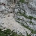 Koliko svizcev na planini in kozorogv ter gamsov v skalovju