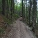 Triglav I., 10., 11. avgust 2008