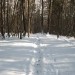 Gaz v snegu - lepota zime