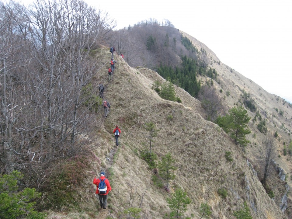 Kamniški vrh, 19. april 2009 - foto povečava