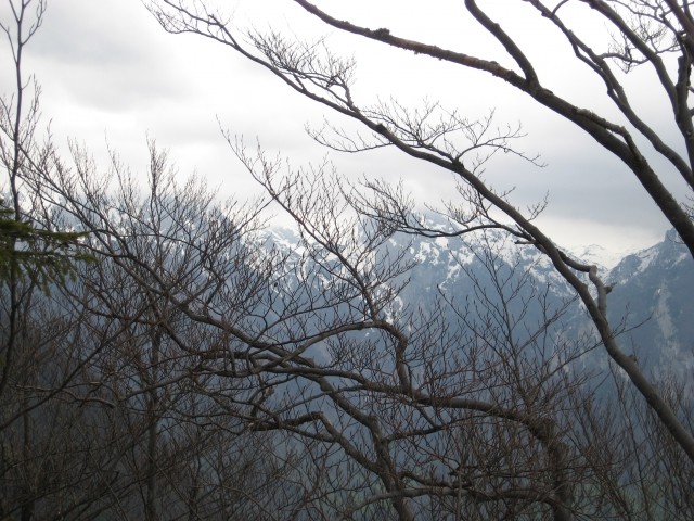 Kamniški vrh, 19. april 2009 - foto