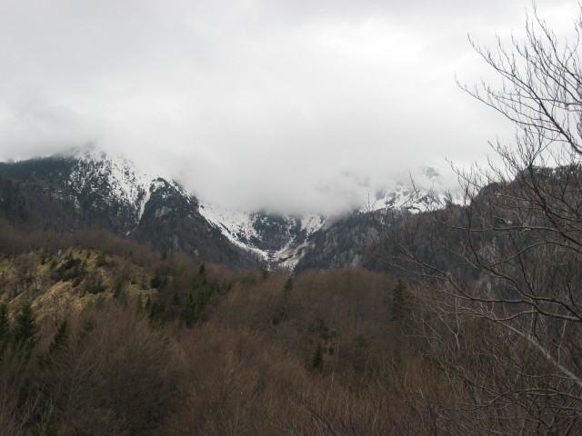Kamniški vrh, 19. april 2009 - foto
