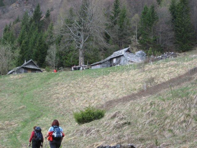 Kamniški vrh, 19. april 2009 - foto