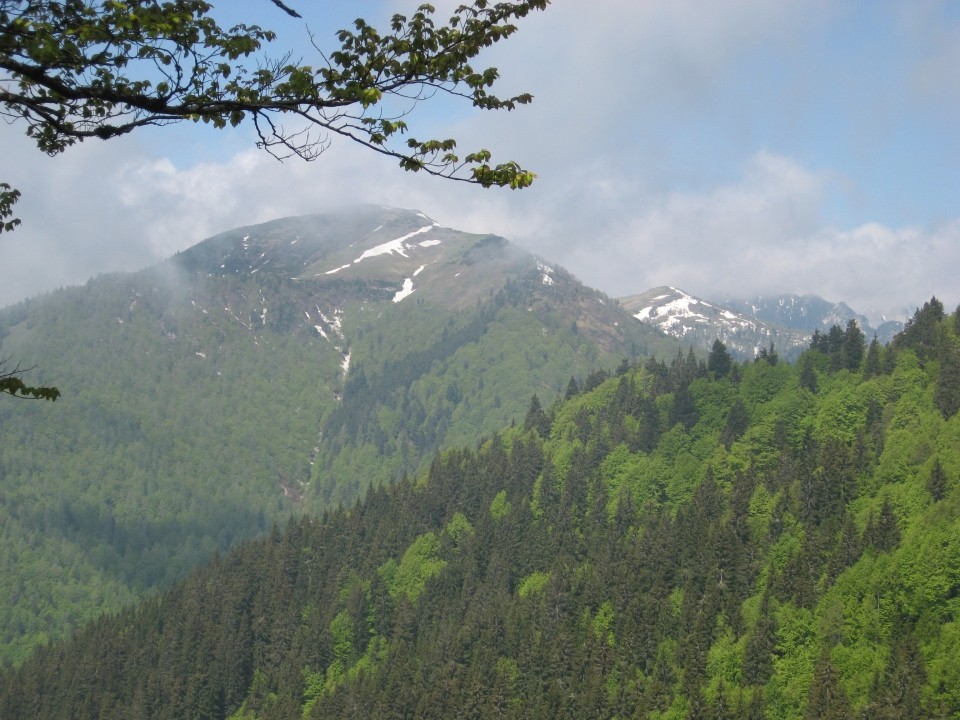 Golica, 17. maj 2009 - foto povečava