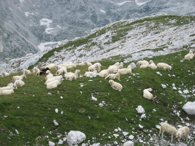 Triglav III., 9., 10. avgust 2009 - foto