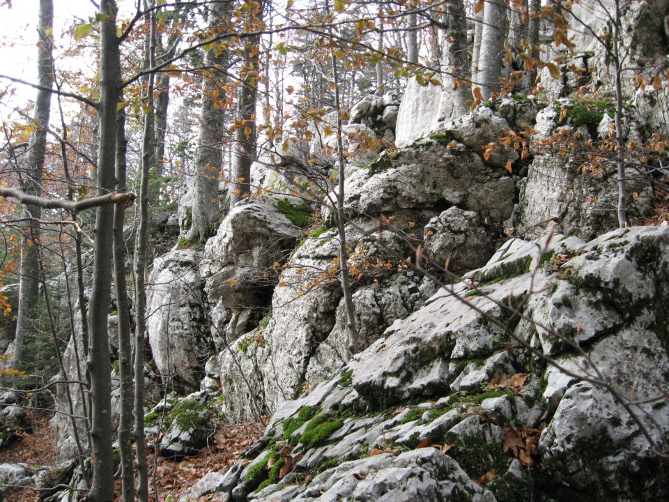 Snežnik, 25. oktober 2009 - foto povečava