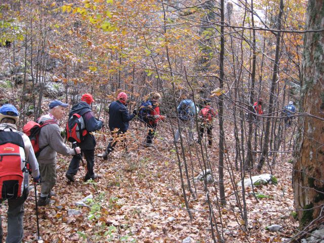 Snežnik, 25. oktober 2009 - foto