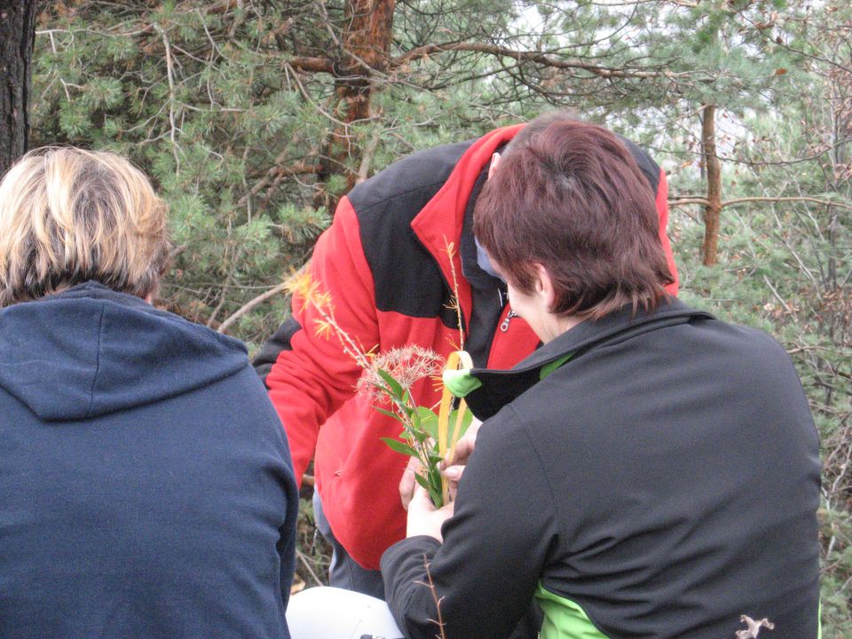 Tošč, 15. november 2009 - foto povečava