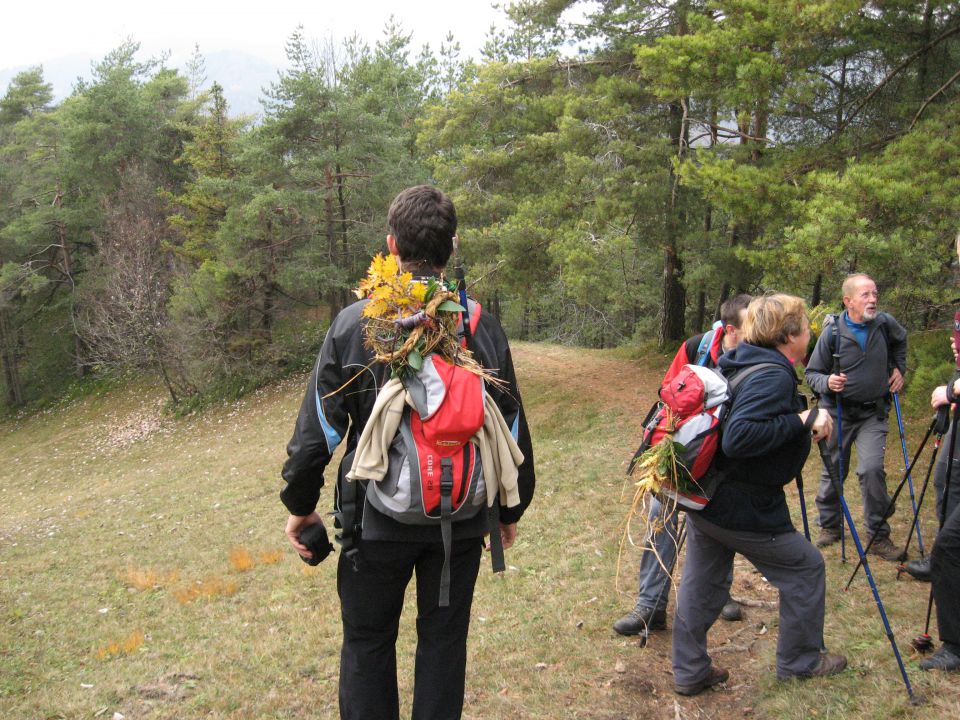 Tošč, 15. november 2009 - foto povečava