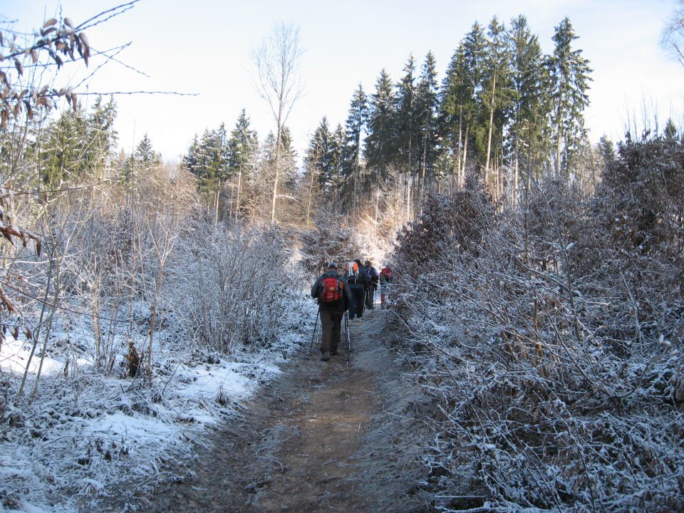 Pugled, 6. marec 2010 - foto povečava