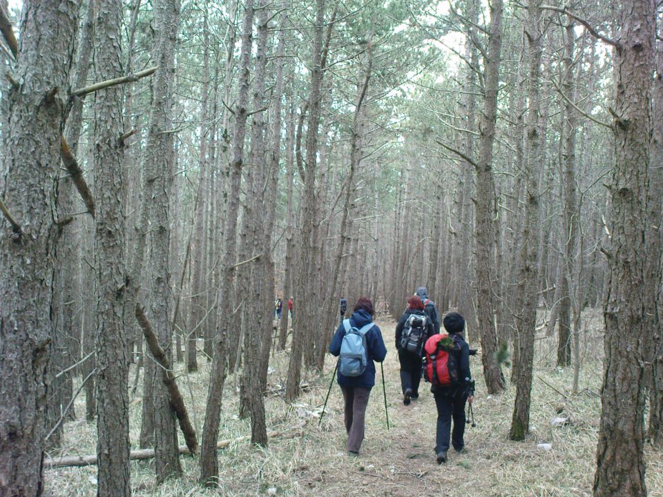 Kraški rob, 20. marec 2010 - foto povečava