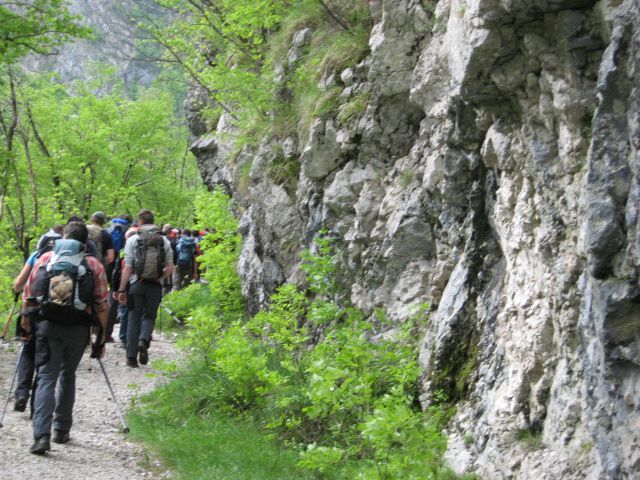 Bavšica prvič, 15. in 16. maj 2010 - foto