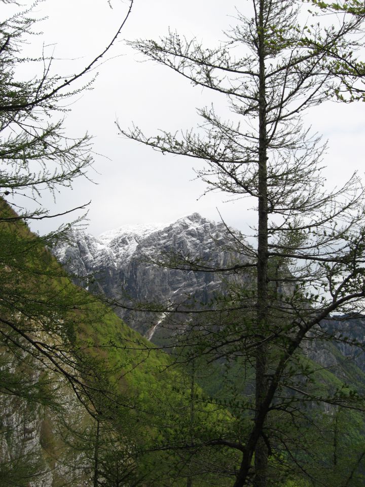 Bavšica prvič, 15. in 16. maj 2010 - foto povečava