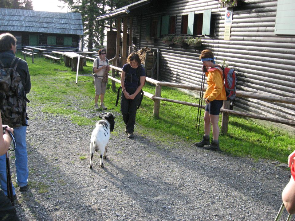 Smrekovec-Loka, 12. junij 2010 - foto povečava