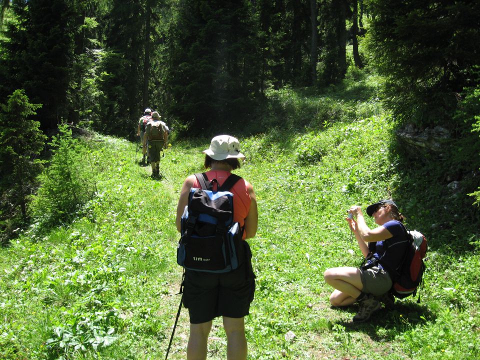 Smrekovec-Loka, 12. junij 2010 - foto povečava